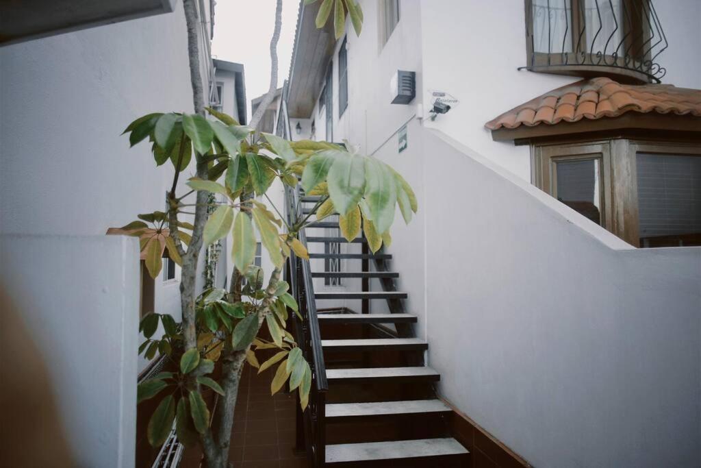 Casa Macfarland Boutique Appartement Ensenada Buitenkant foto