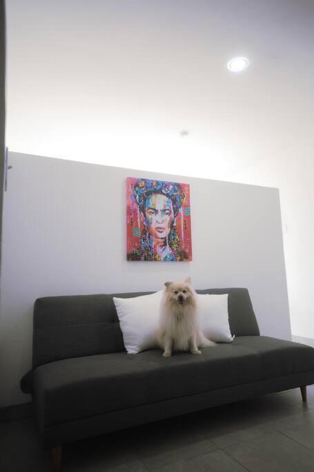 Casa Macfarland Boutique Appartement Ensenada Buitenkant foto